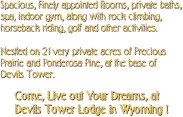  Spacious, Finely appointed Rooms, private baths, spa, indoor gym, along with rock climbing, horseback riding, golf and other activities.   Nestled on 21 very private acres of Precious Prairie and Ponderosa Pine, at the base of Devils Tower.        Come, Live out Your Dreams, at Devils Tower Lodge in Wyoming.